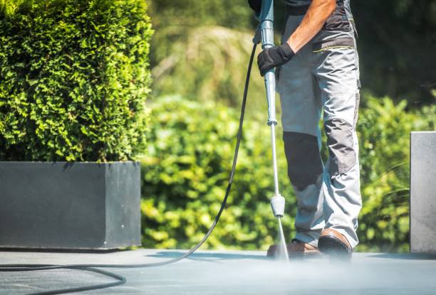 Best Solar Panel Cleaning  in Powell, TN