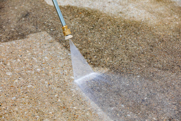 Animal Enclosure Cleaning in Powell, TN